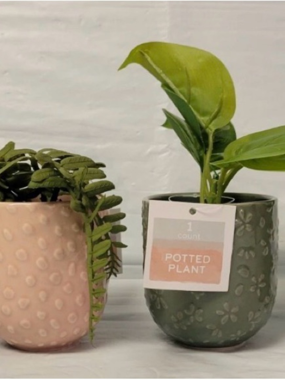 4ct Bullseye Playground Potted Plant Succulent Tier Tray Pastel Embossed Pots